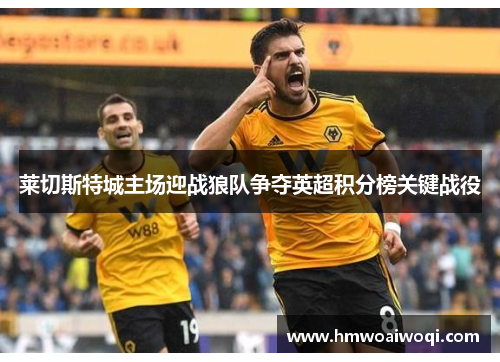 莱切斯特城主场迎战狼队争夺英超积分榜关键战役