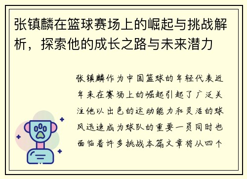 张镇麟在篮球赛场上的崛起与挑战解析，探索他的成长之路与未来潜力